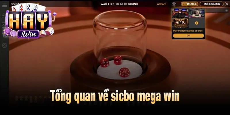 Tổng quan về sicbo mega win